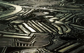 Устричные фермы