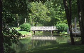 The bridge in the park