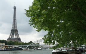Вид на башню Париж
