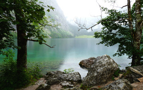 Nature Bavaria