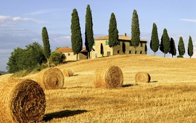 Fields of Italy