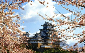 Замок Химедзи-Джо, Химедзи, Kinki, Япония