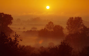 Туман на закате