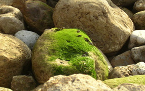 Залив Sao Martinho