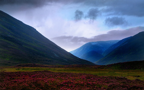 Aviemore - Шотландия