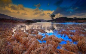 The Scottish bog