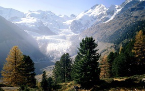 Piz Bernina, Monteratsch Glacier, Engadine