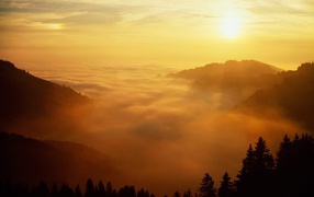 Святой Голлен, Швейцария