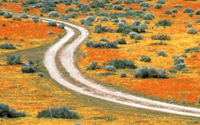 Antelope valley USA