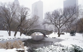 Центральный Парк НЬЮ-ЙОРК США