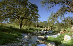 Золотая Страна / Калифорния / США