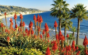 Laguna Beach / California / USA