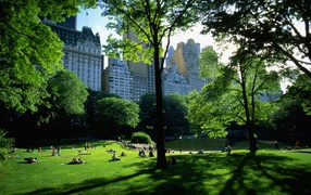 Центральный парк NY