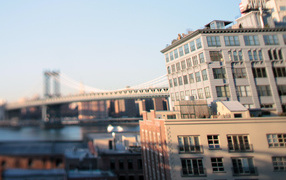 Карлсон из Манхэттена