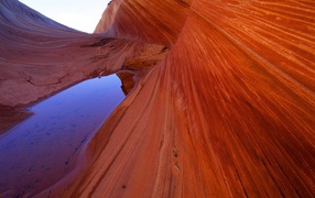 Волны Песчаника  / Ярко-красные Утесы / Аризона / США