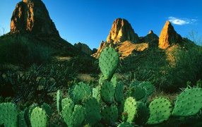Свет восхода солнца в  Горах Суеверия / Апачский След / Аризона / США