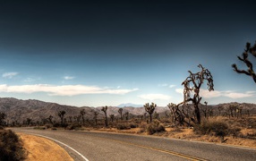 Дорога через пустыню