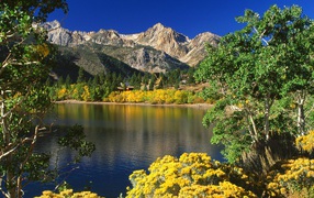 Озера Близнеца / Toiyabe Национальный Лес / Калифорния / США