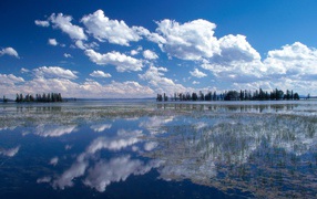 Йеллоустонское Озеро, США