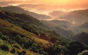 Тропический лес El Yunque