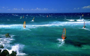 Windsurfers Maui