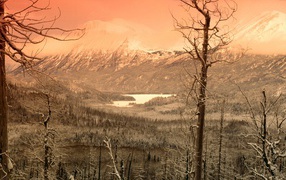 Охваченный зимой