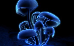 3D обои грибы