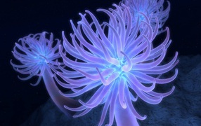 обои на рабочий стол 3D