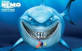 Finding Nemo