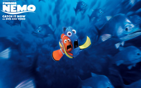 Finding Nemo