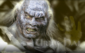 Властелин колец