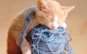 Котёнок и клубок
