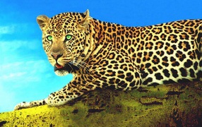 Гепард на суку