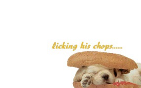 Спящий щенок