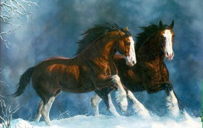 Два коня