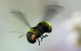 the Bee