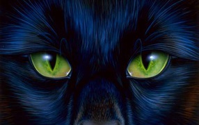 Кошачий взгляд