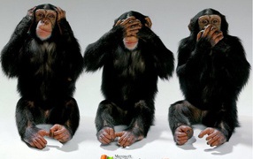 Три обезянки