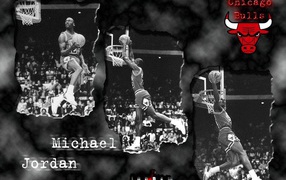 Чикаго булс