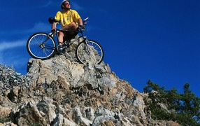 Спорт здоровье