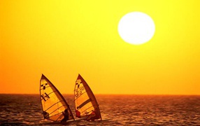 Парусный серфинг