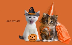 Котята в праздничных костюмах