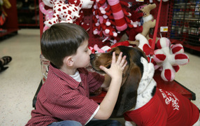 Бассет-хаунд и ребёнок