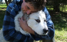 Great Pyrenees dog and a loving owner