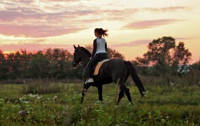 Horse riding, sunset