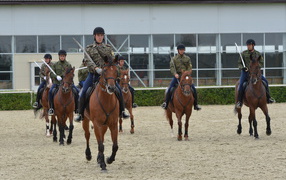 Верховая езда на лошади