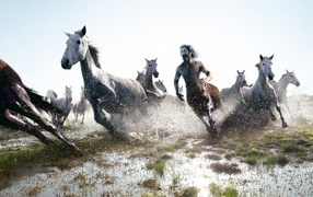 	 Centaur rides with herd of horses