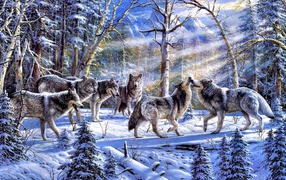 A pack of wolves in the snow