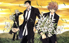 Хроника Крыльев