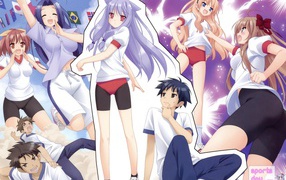 Нашествие бродячих кошек!